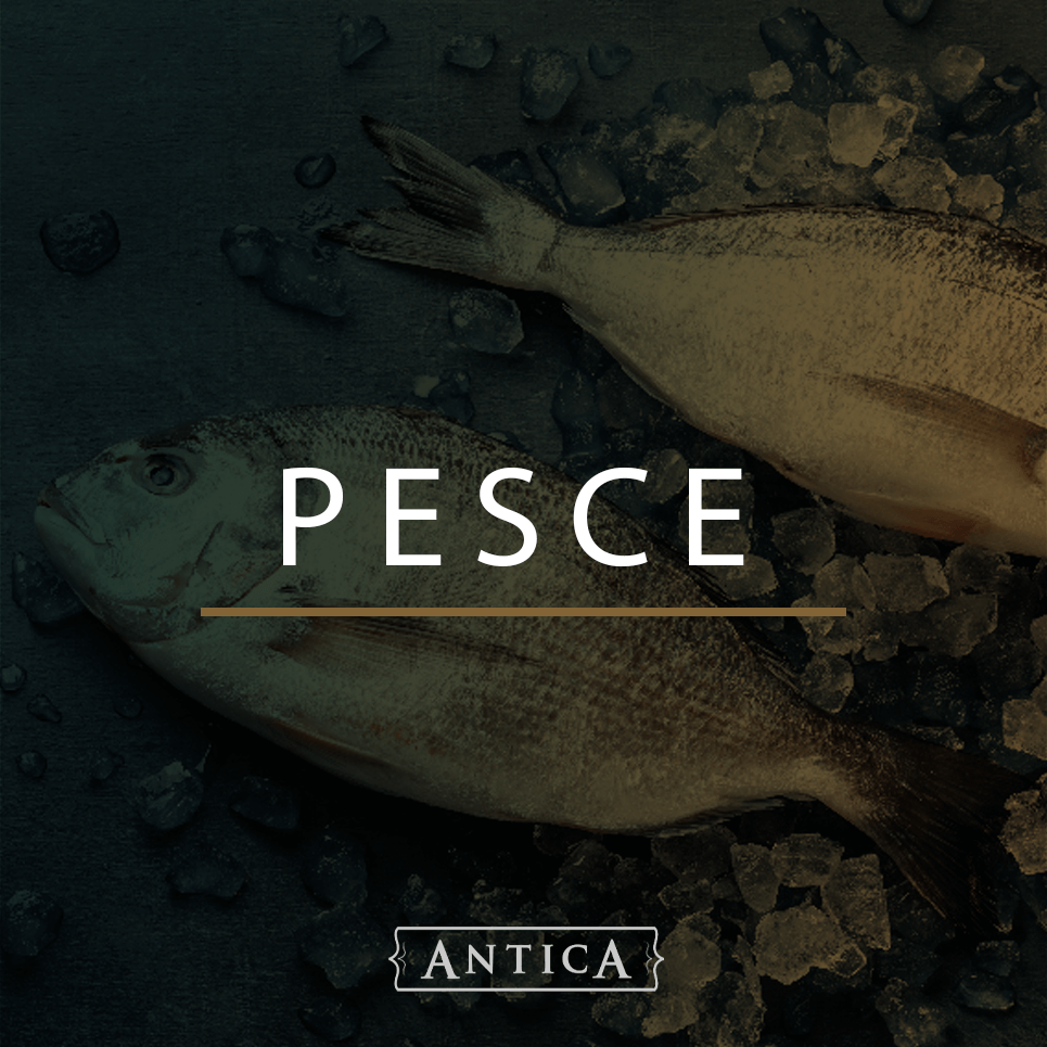 Pesce