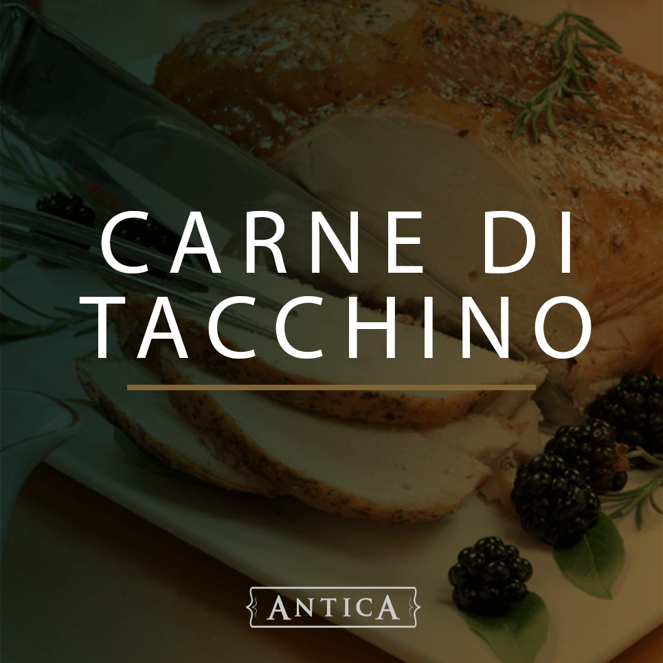 Carne di Tacchino